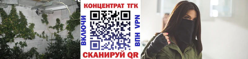 ТГК концентрат  Купить где  Нарьян-Мар 